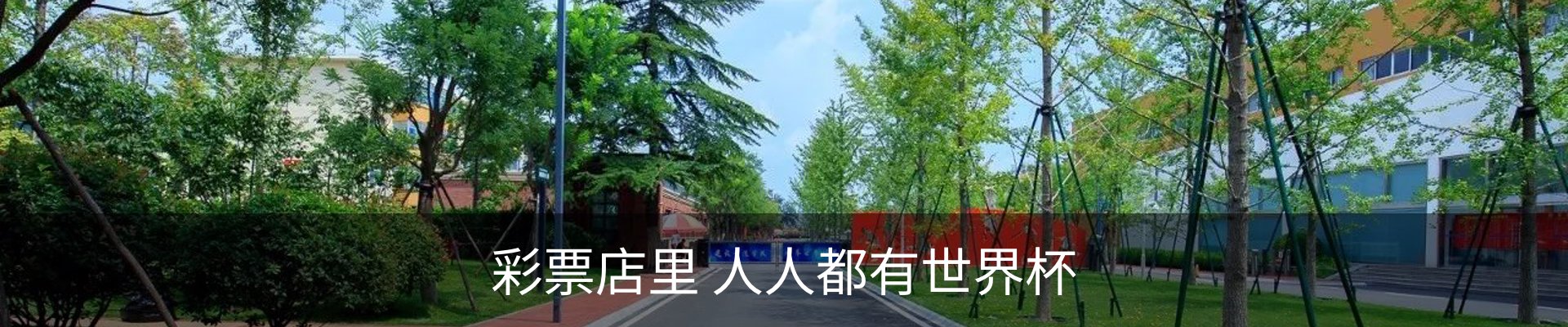 内页banner